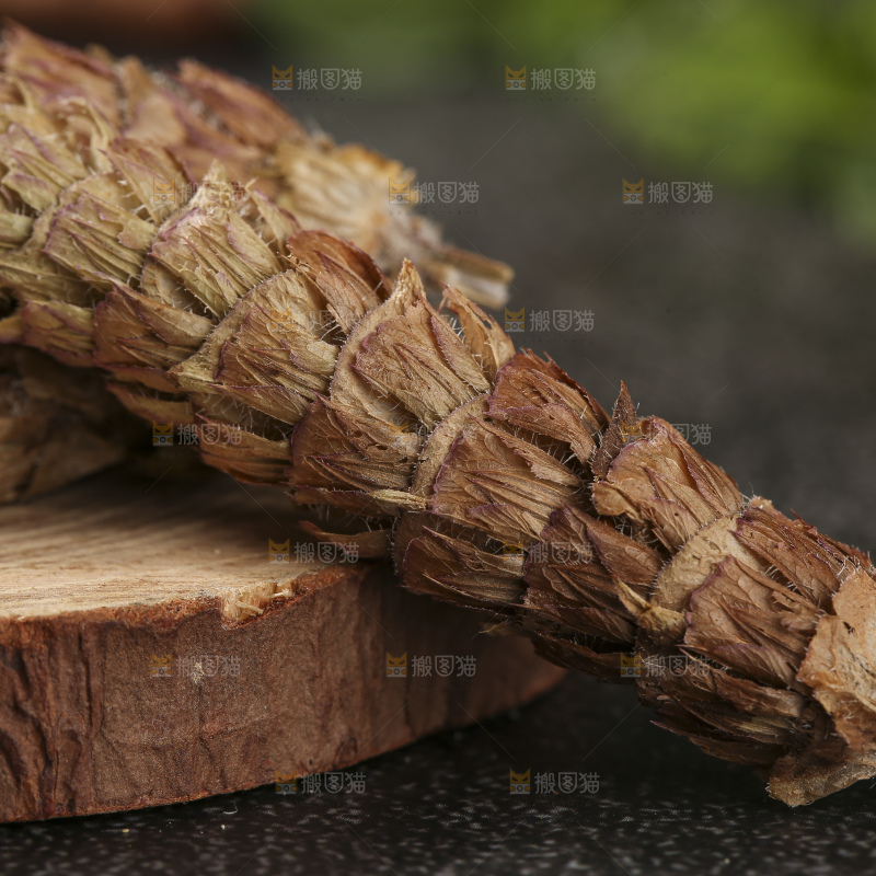 木底上的夏枯草