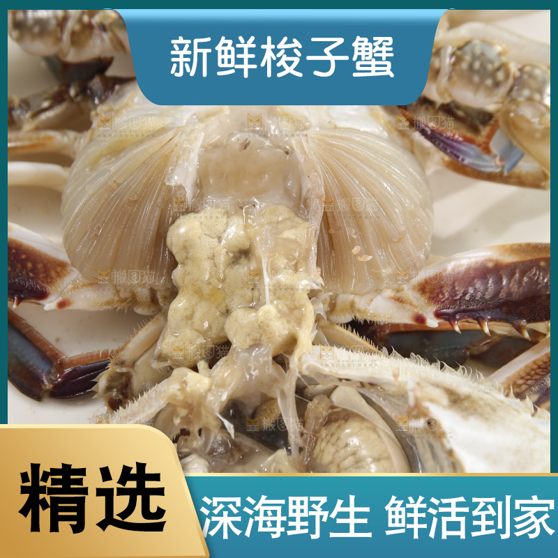 鲜活梭子蟹