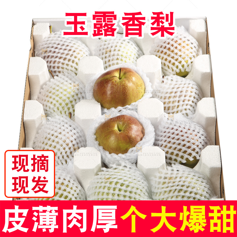 白底上的玉露香梨