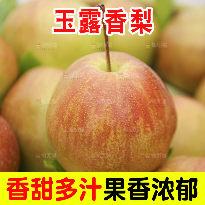 深底上的玉露香梨