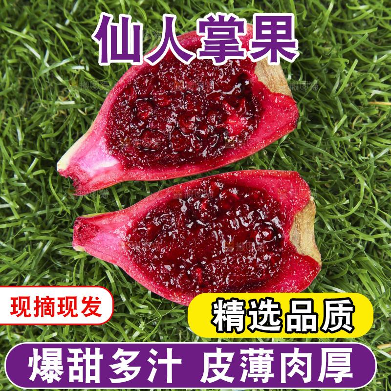 草地上放着切开的红肉仙人掌果
