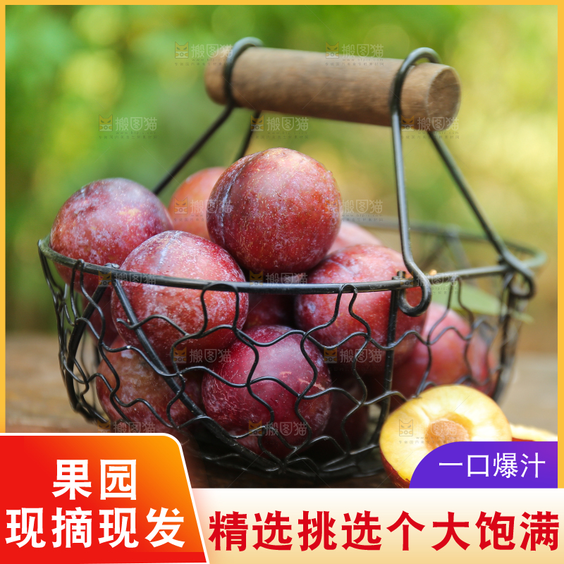 木底上放着红脱骨李