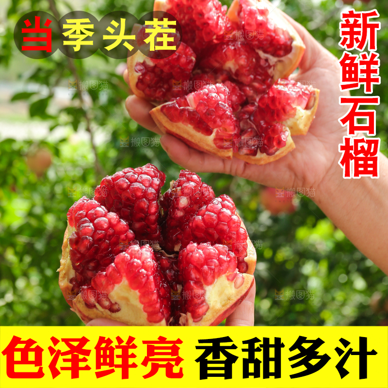 石榴产地