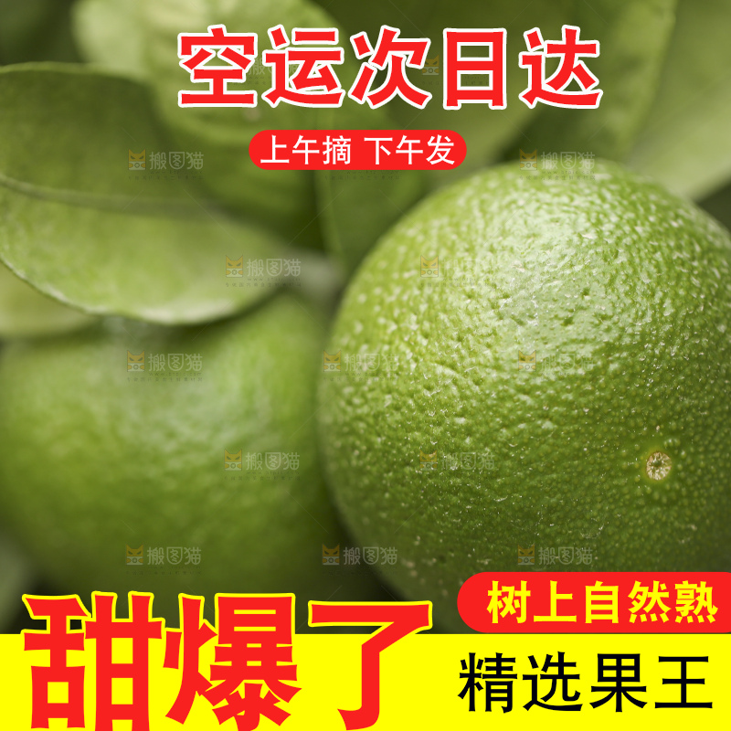 户外的青橘