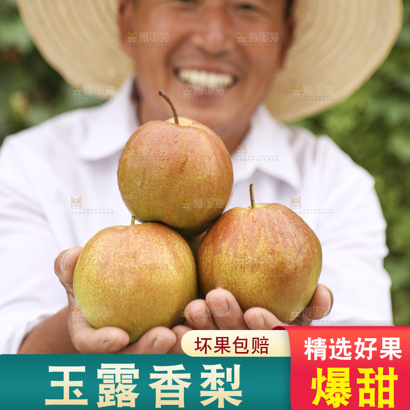 手里拿着玉露香梨