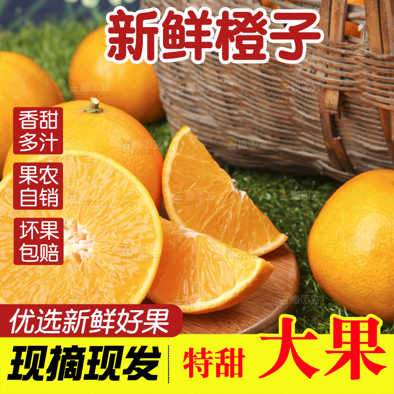 草地上的果冻橙