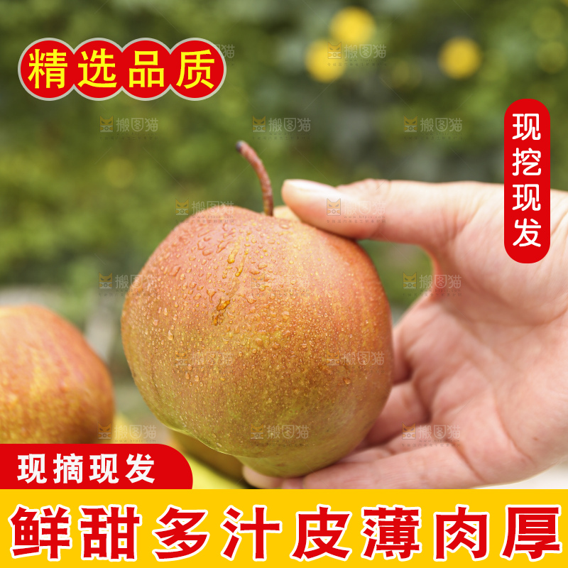 手里拿着玉露香梨