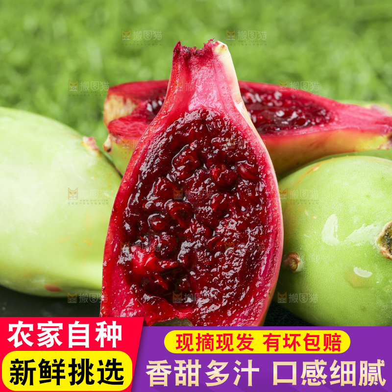 黑石板上放着仙人掌果