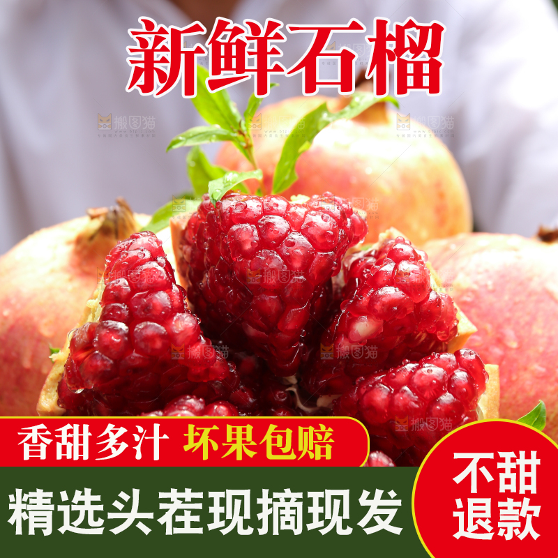石榴产地
