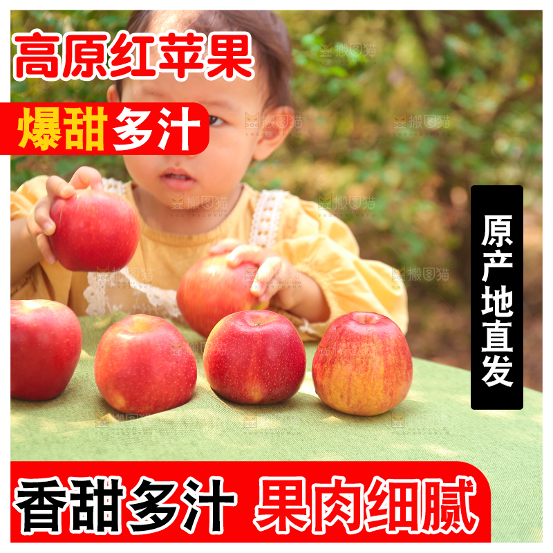 手里拿着高原红苹果