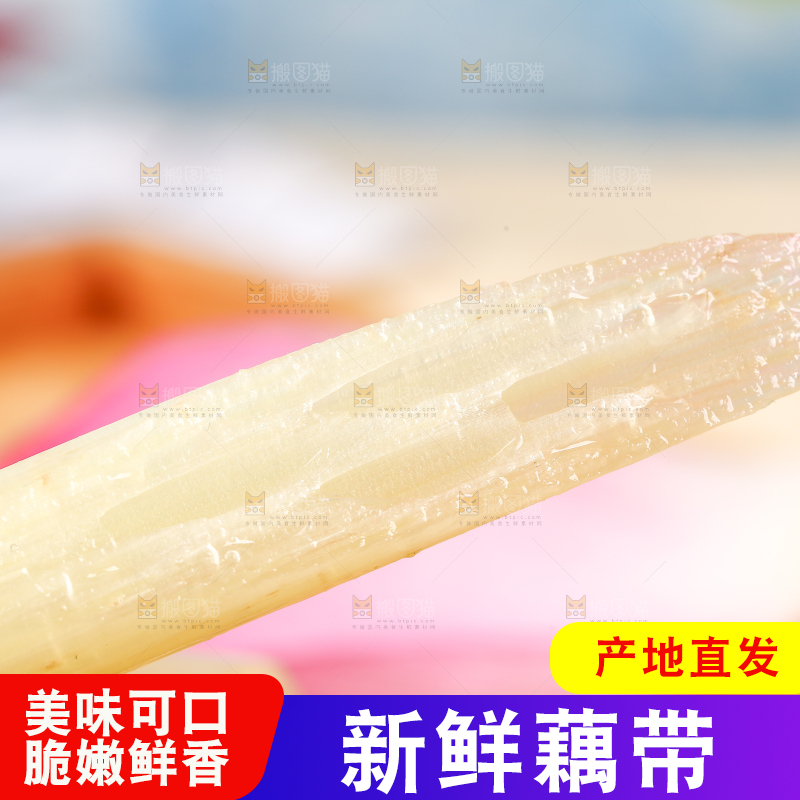 浅底上的藕带