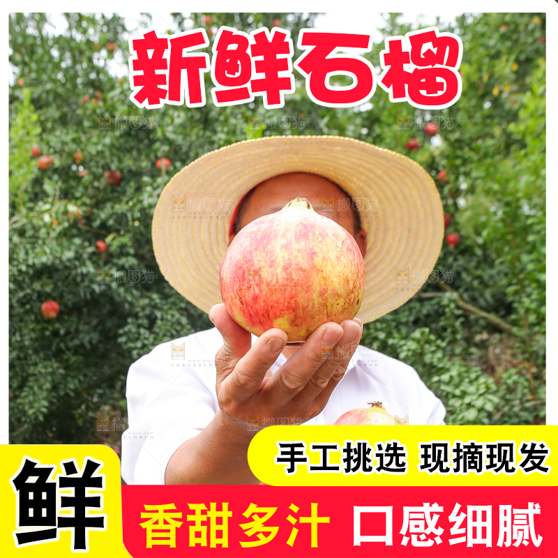 石榴产地
