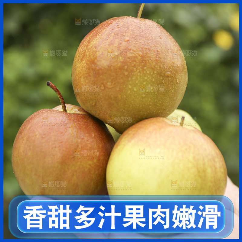 手里拿着玉露香梨
