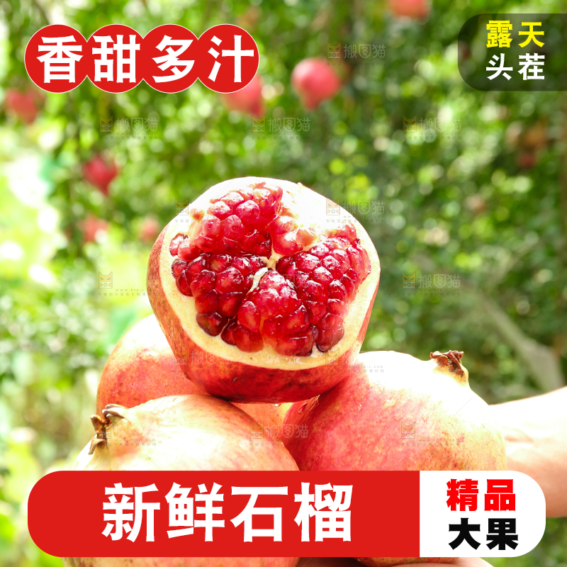 石榴产地