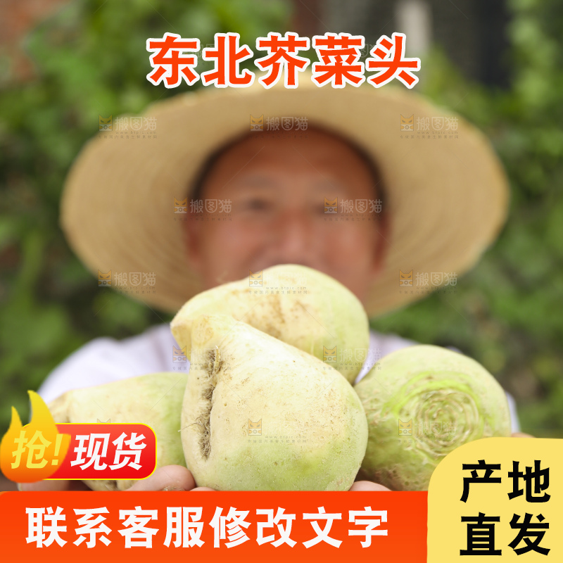 手里拿着大头芥菜