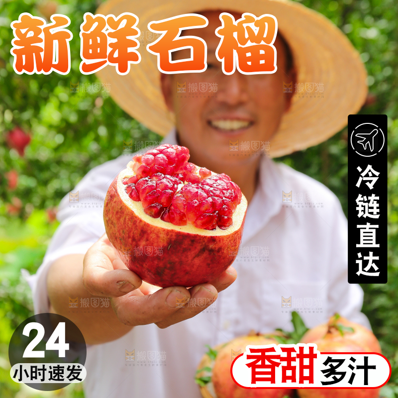 石榴产地