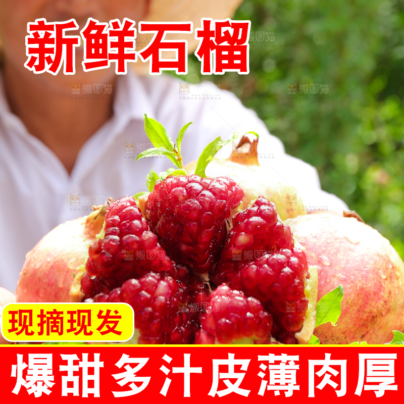 石榴产地