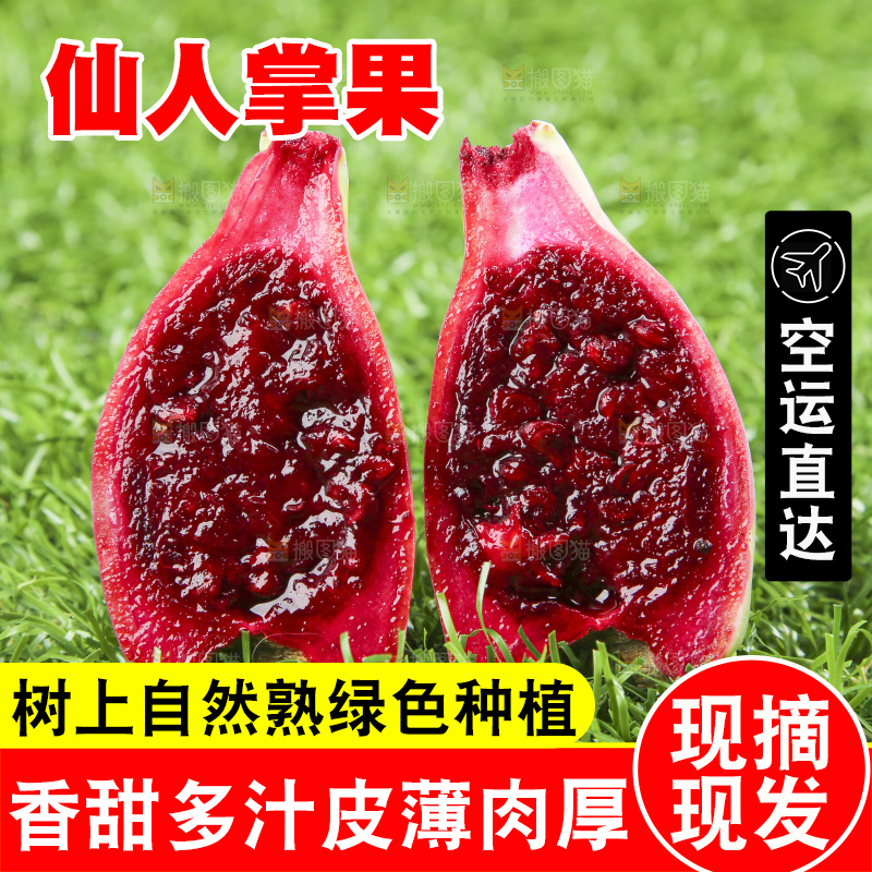 草地上放着切开的红肉仙人掌果