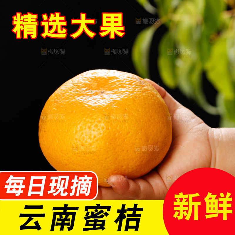 深底上的宜昌蜜桔