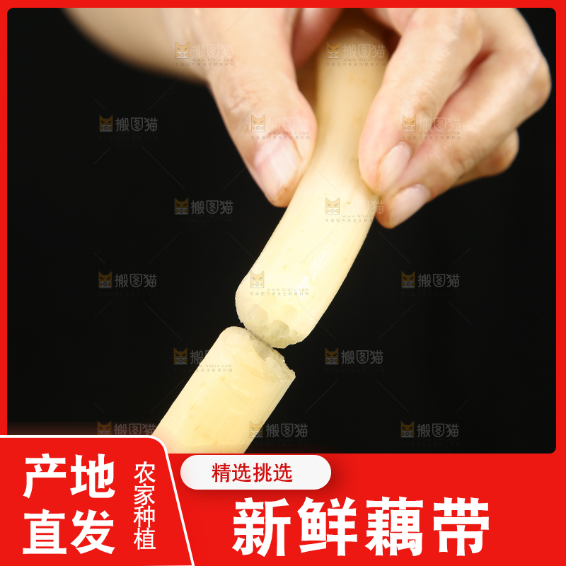 深底上放着藕带