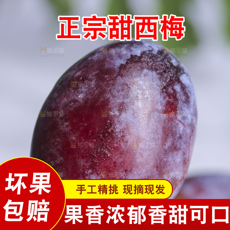 浅底上的西梅