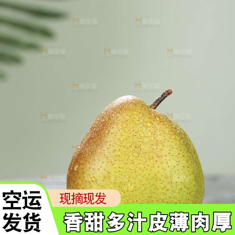 深底上放着红香酥梨