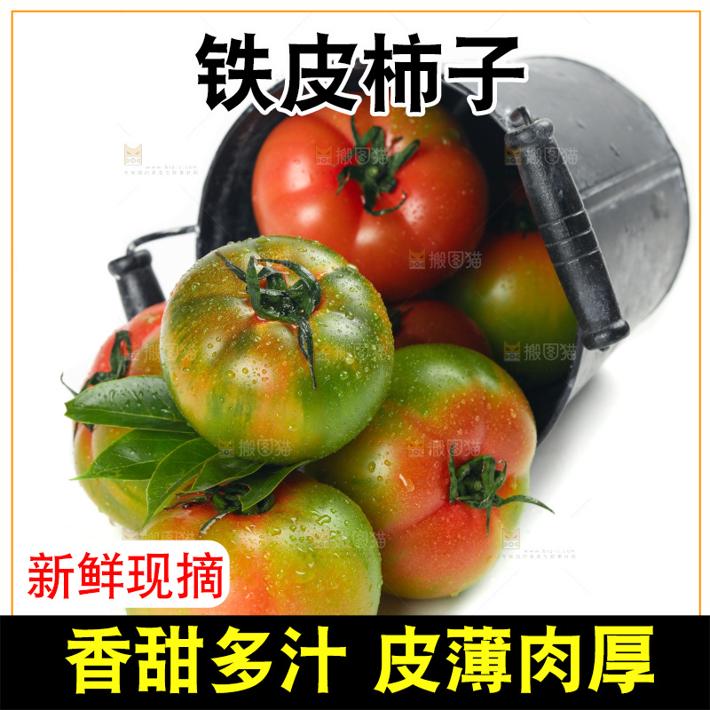 白底上放着铁皮西红柿
