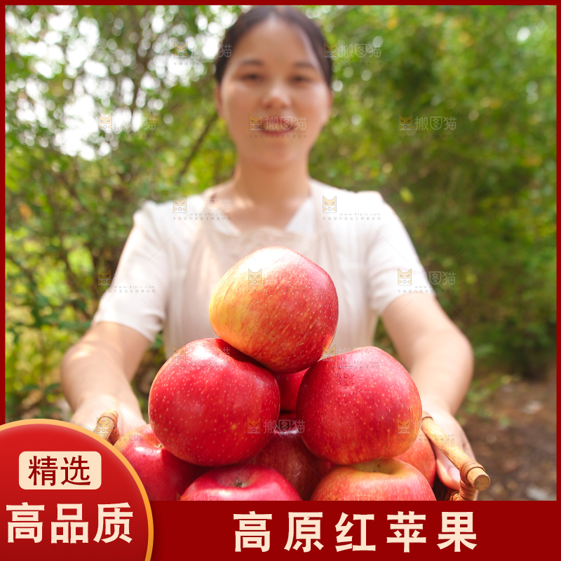 手里拿着高原红苹果