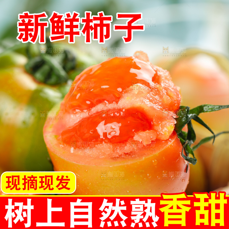 浅底上的铁皮西红柿