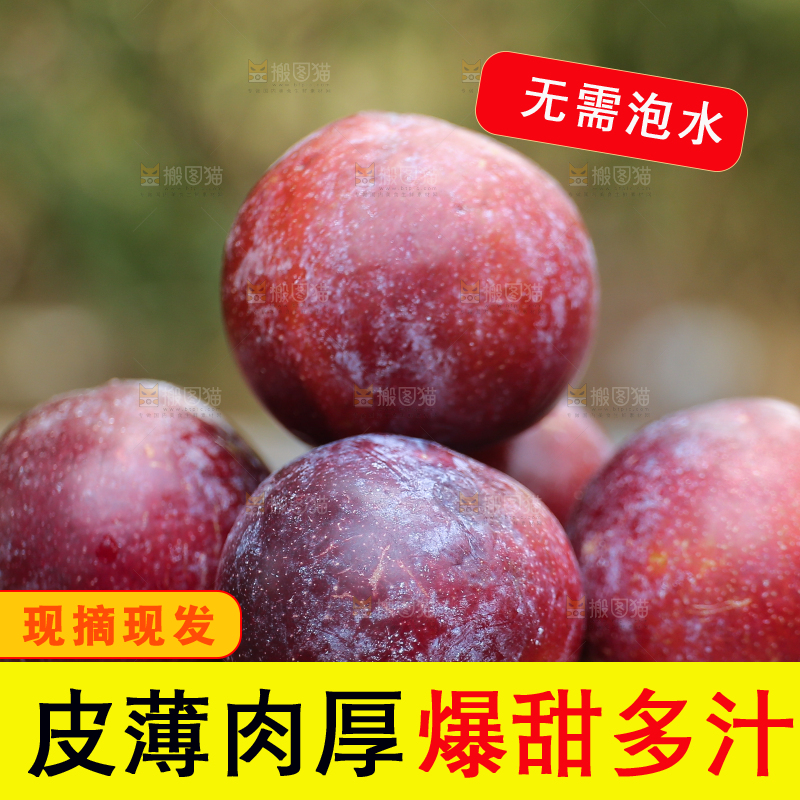 木底上放着红脱骨李