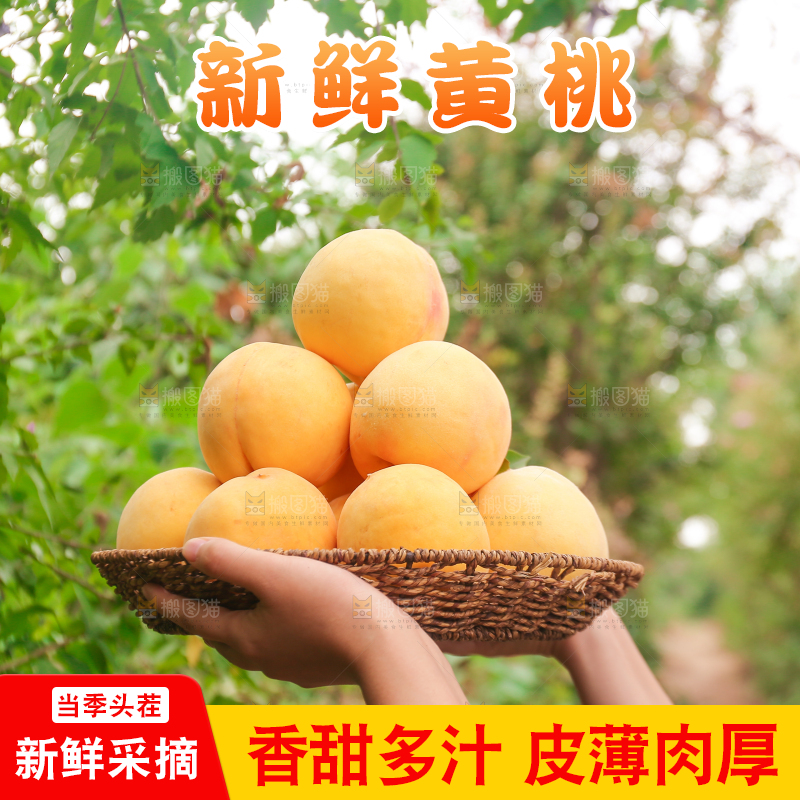 手里拿着炎陵黄桃