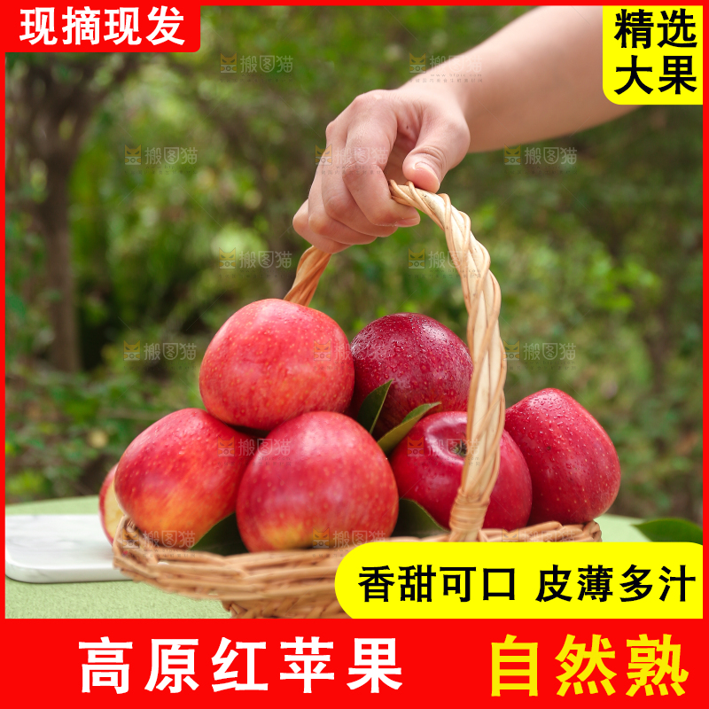 手里拿着高原红苹果
