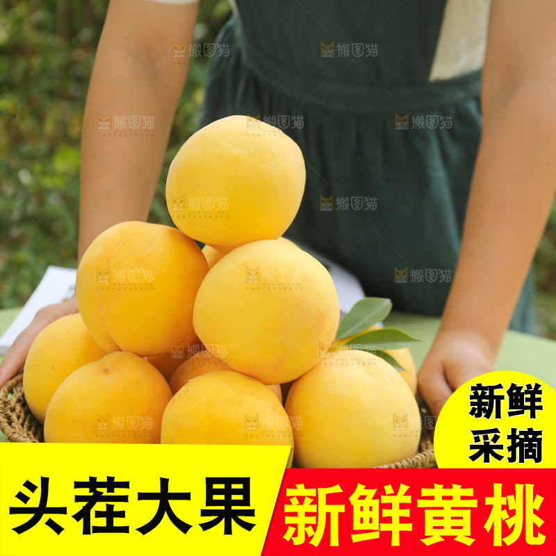 手里拿着炎陵黄桃
