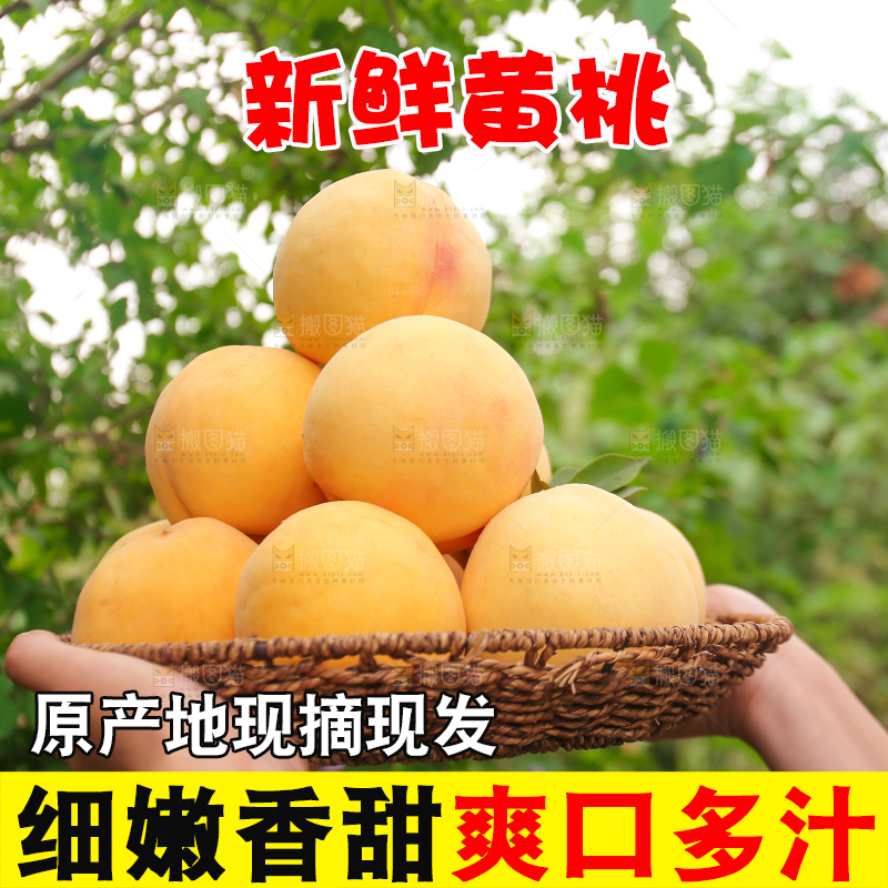 手里拿着炎陵黄桃