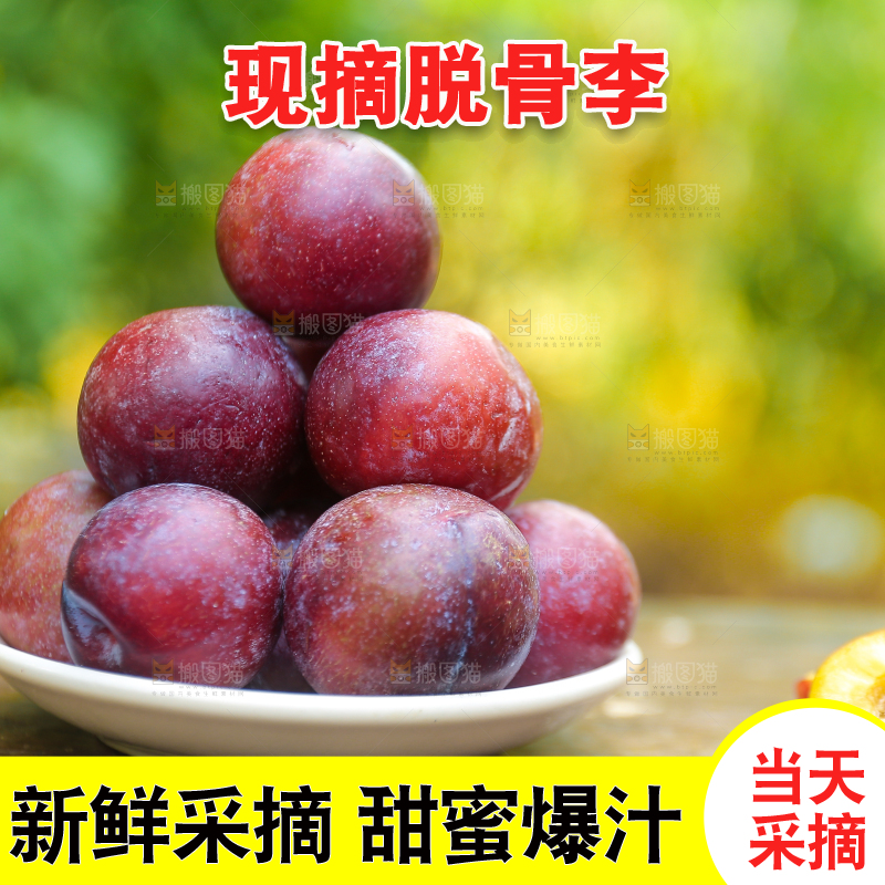 木底上放着红脱骨李