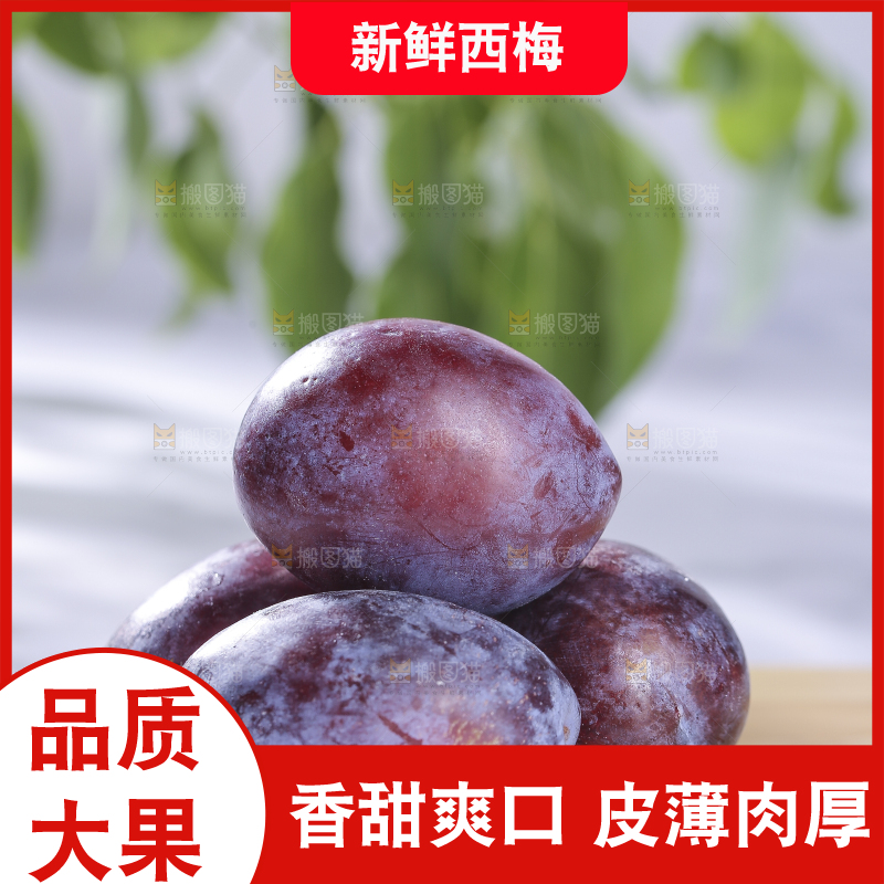 浅底上的西梅