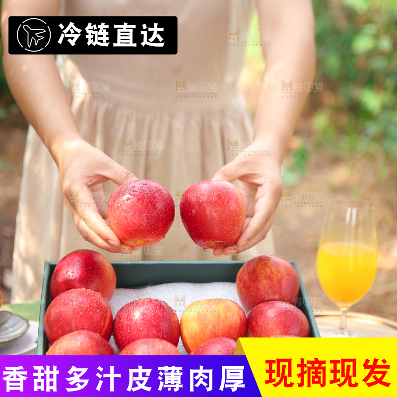手里拿着高原红苹果