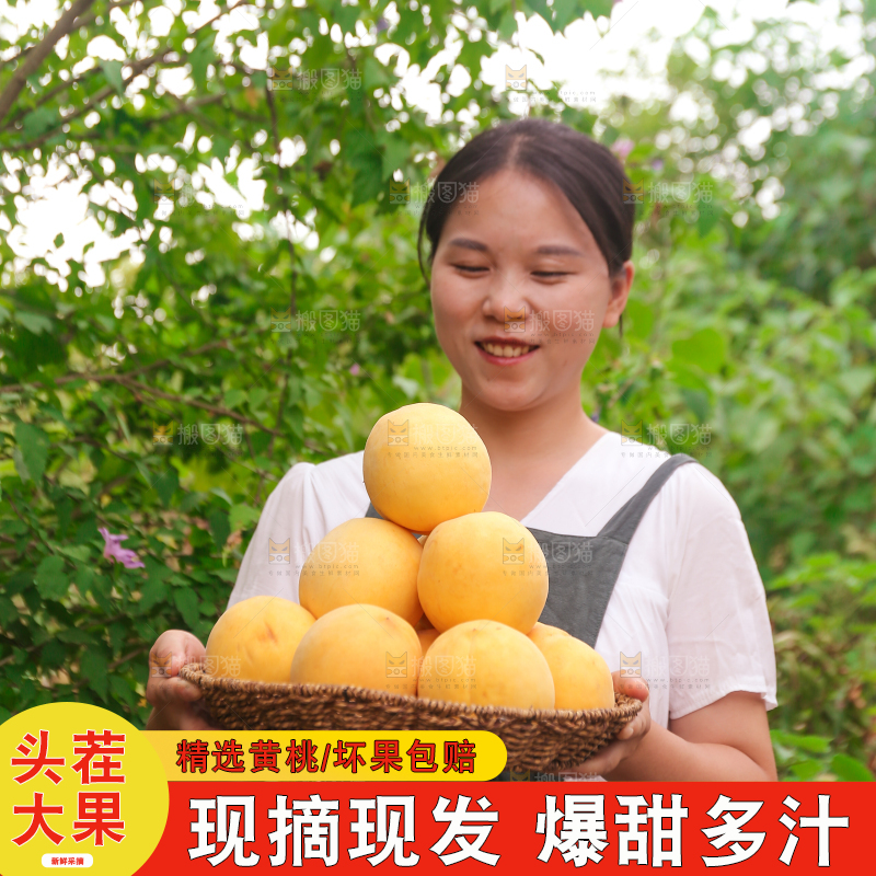 手里拿着炎陵黄桃