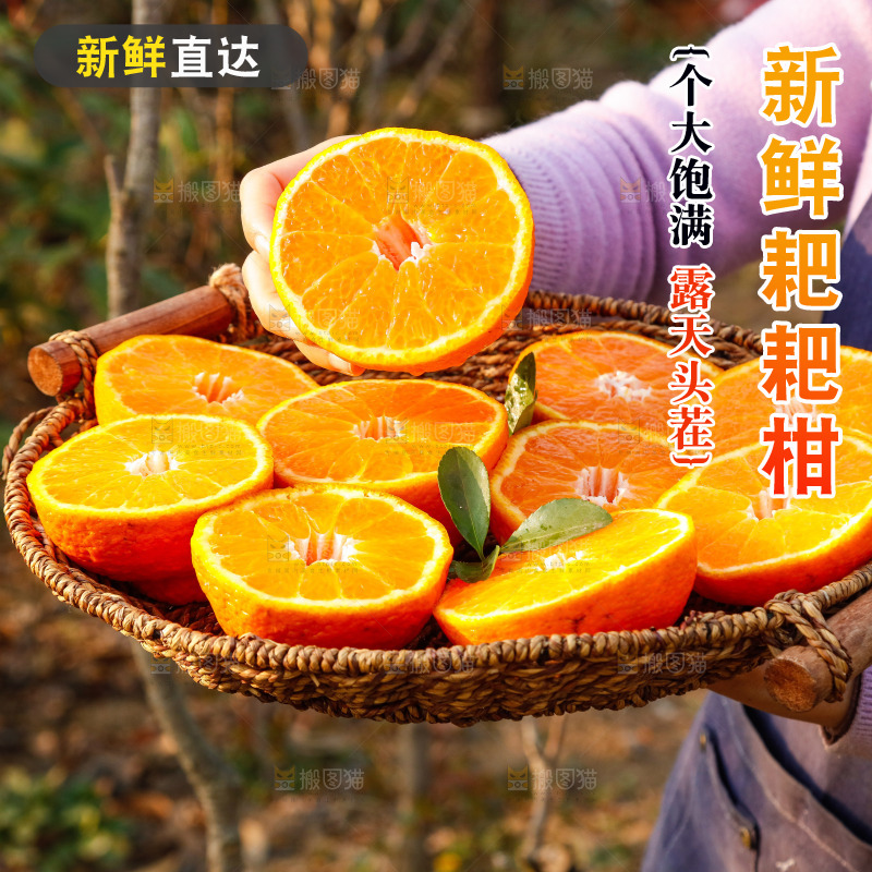 草地上的耙耙柑