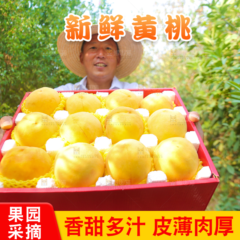 手里拿着炎陵黄桃