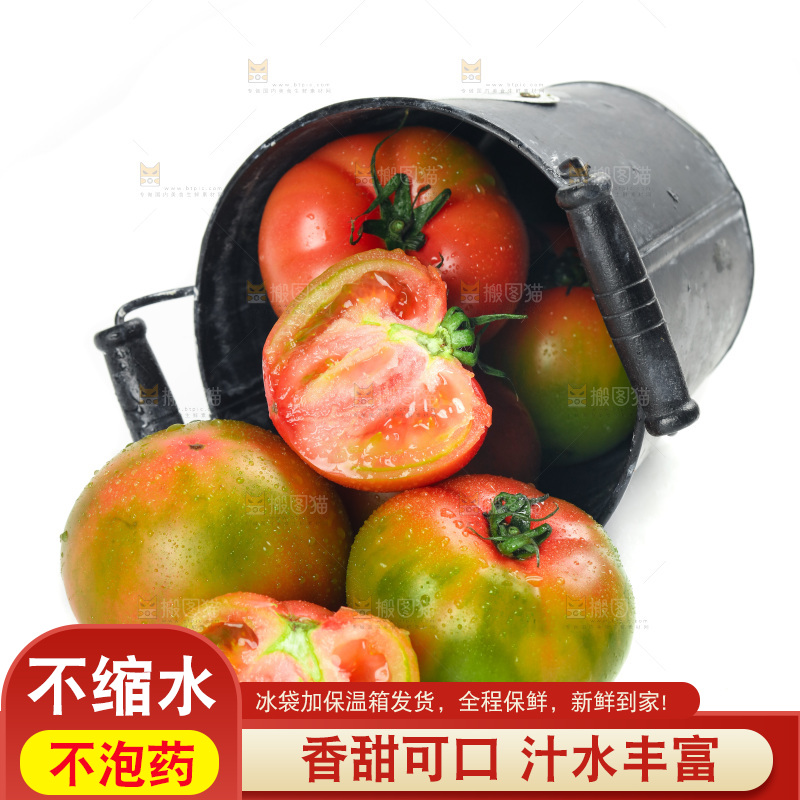 白底上放着铁皮西红柿