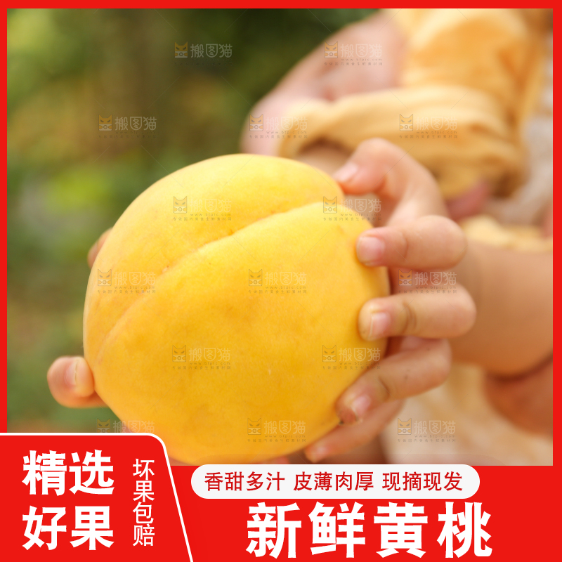 手里拿着炎陵黄桃
