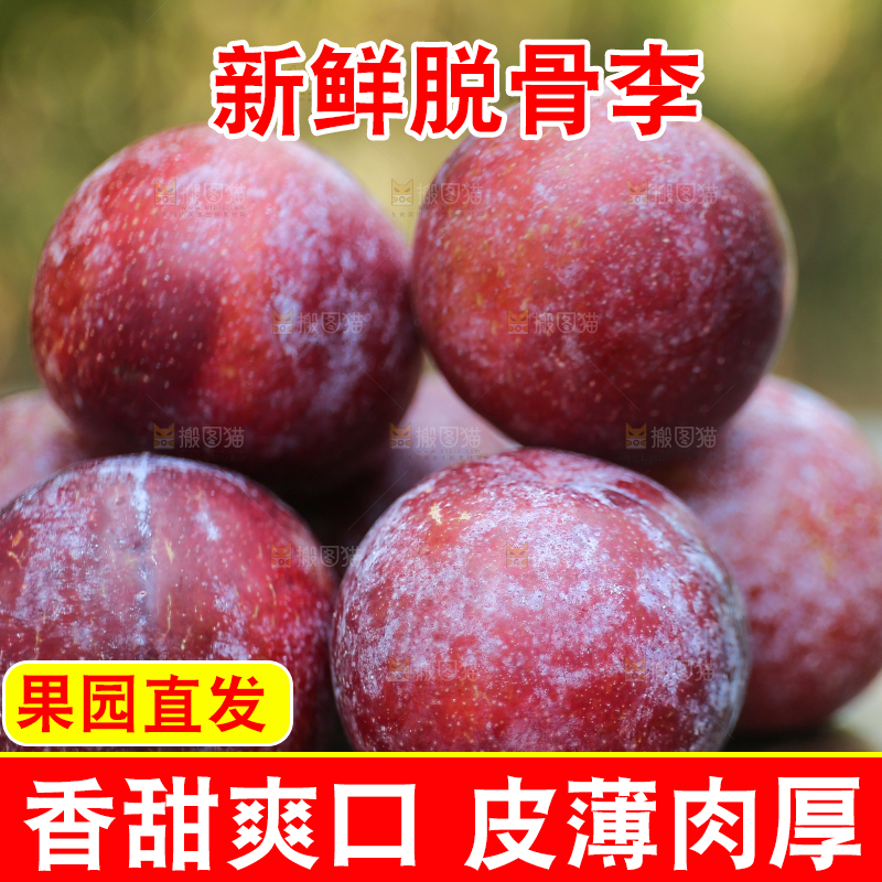 木底上放着红脱骨李
