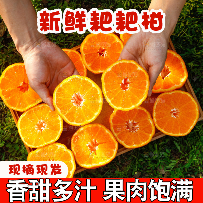 草地上的耙耙柑