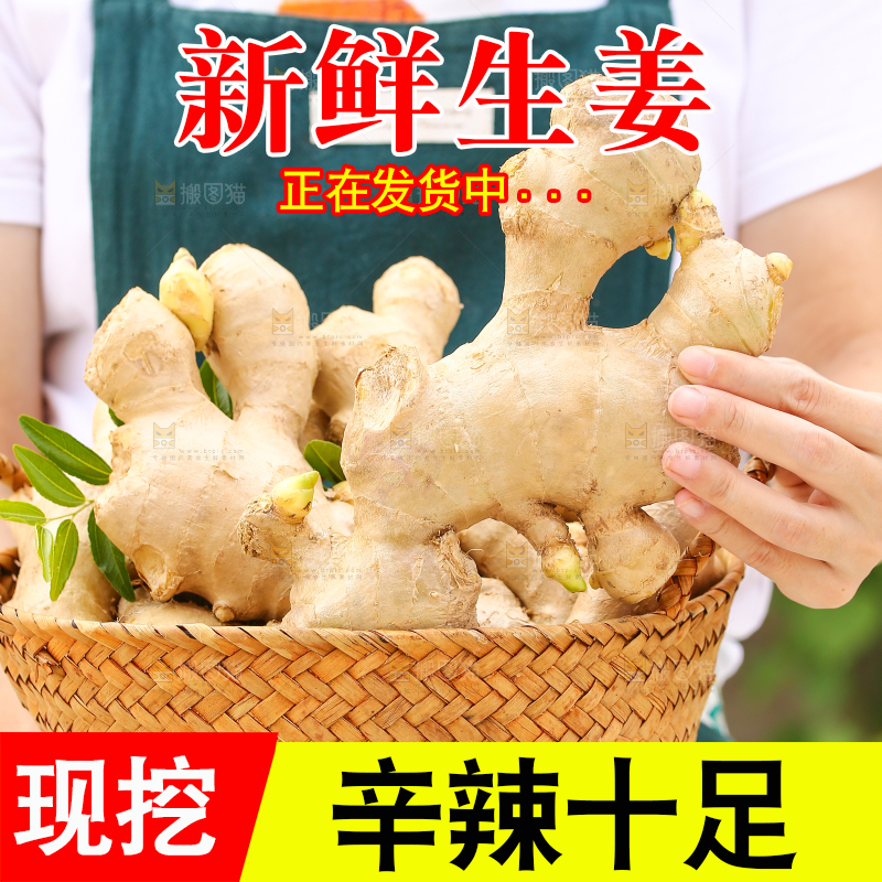 手里拿着生姜