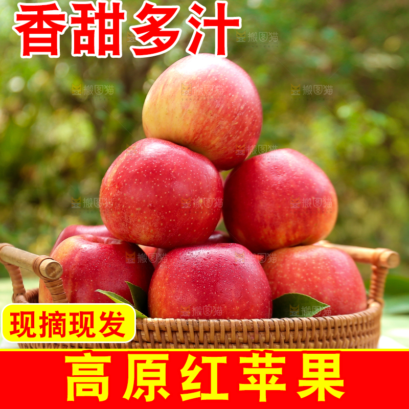 手里拿着高原红苹果