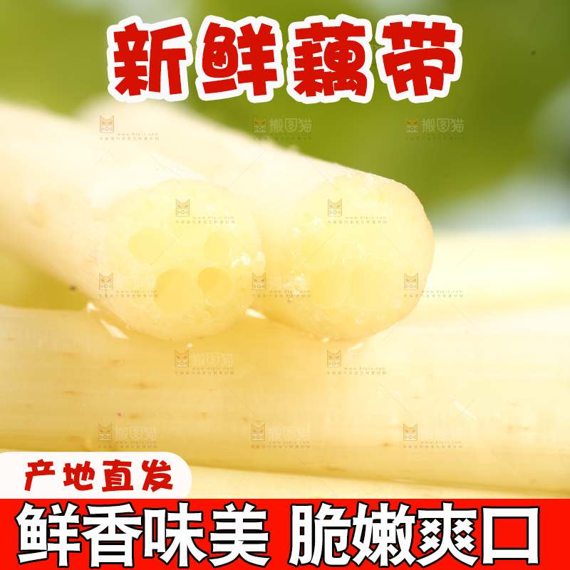 浅底上的藕带