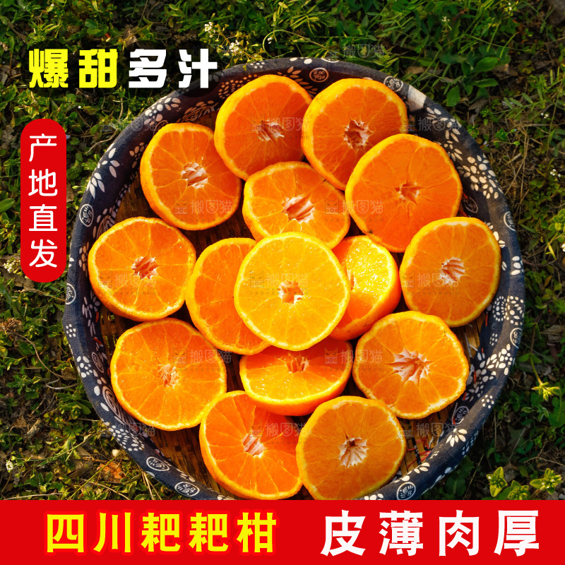 草地上的耙耙柑