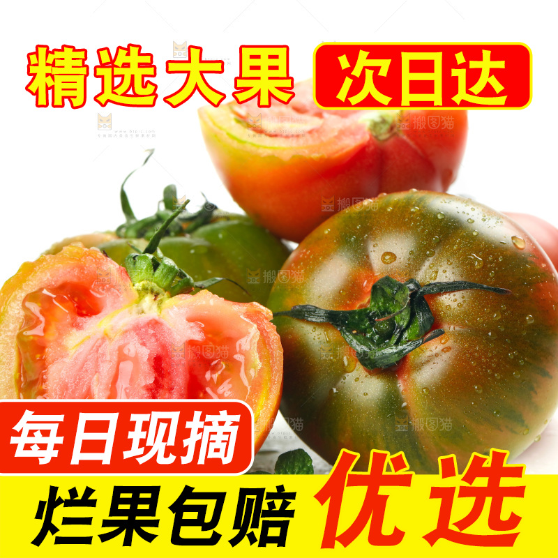 白底上放着铁皮西红柿