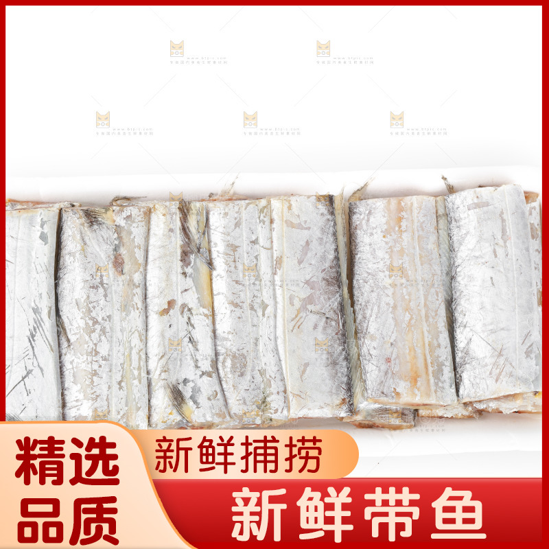 白底上的带鱼段
